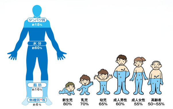 MRI検査をわかりやすく解説|検査のながれ・分かる病気・検査時間・検査費用etc