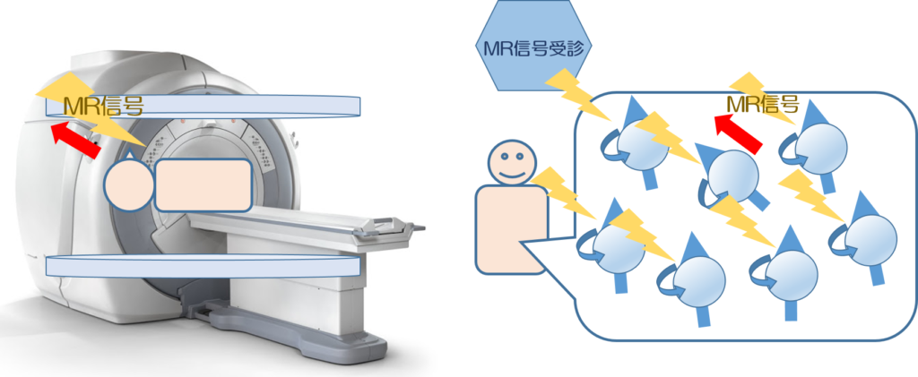 MRI検査のわかりやすい解説｜検査を受ける前に知っておきたいこと！！